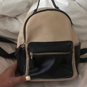 Back pack purse